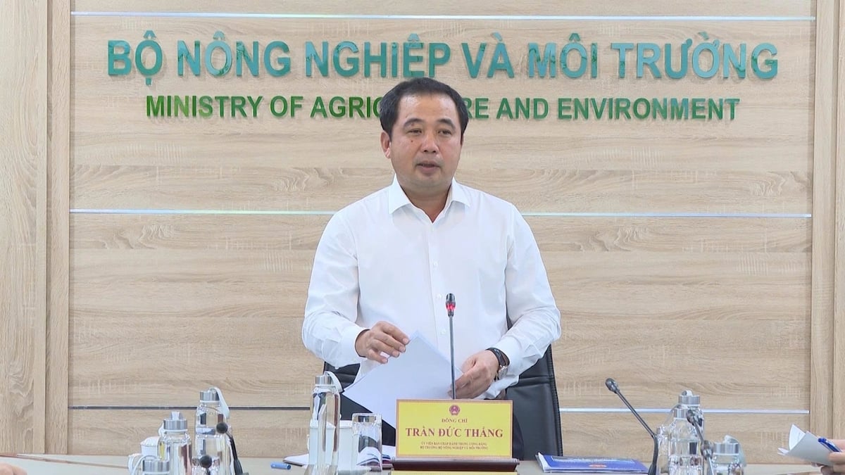 Ba lĩnh vực kiến tạo nền dữ liệu số phục vụ phát triển bền vững